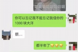 顺平企业清欠服务